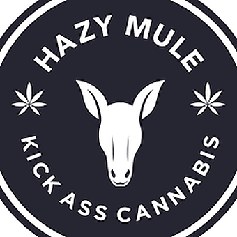 Hazy Mule